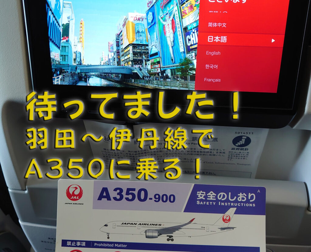 【JAL】A350機外カメラで大阪の街並みを楽しむ！