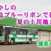 道北バスに残る京急ブルリを堪能！（2022年8月11日）